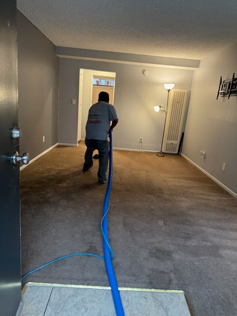 Project Professional Carpet Cleaning in Beverly Hills image