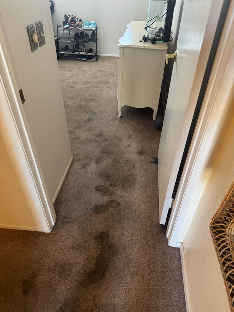 Gallery photos for Freshening Up a Home in Thousand Oaks: Image #2