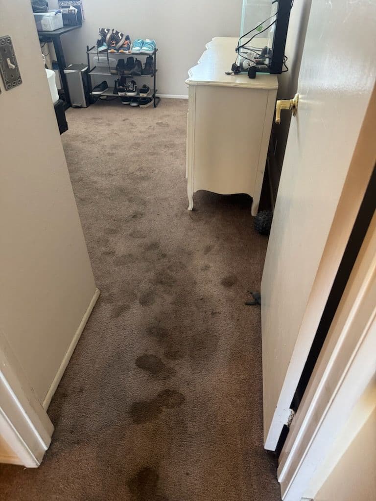 Gallery photos for Freshening Up a Home in Thousand Oaks: Image #3