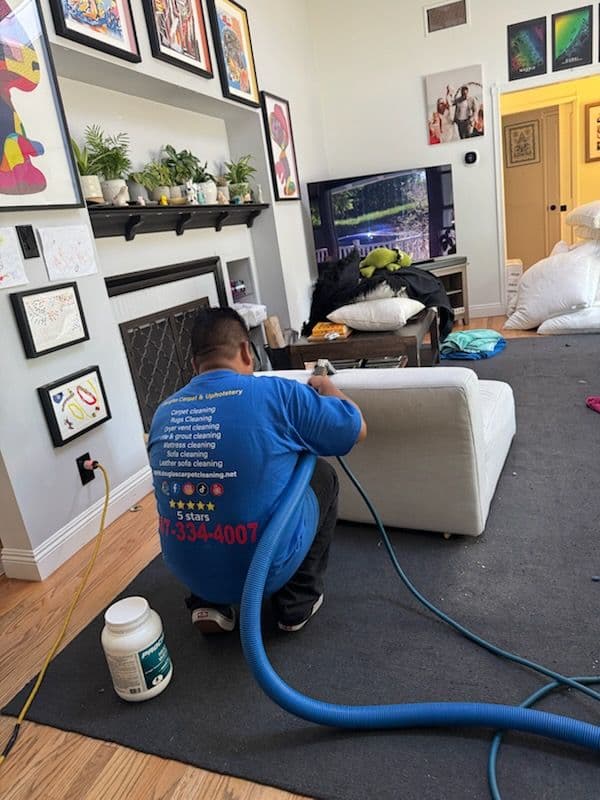 Gallery photos for Thumbs Up for Fresh and Clean Sofa in Beverly Hills: Image #1