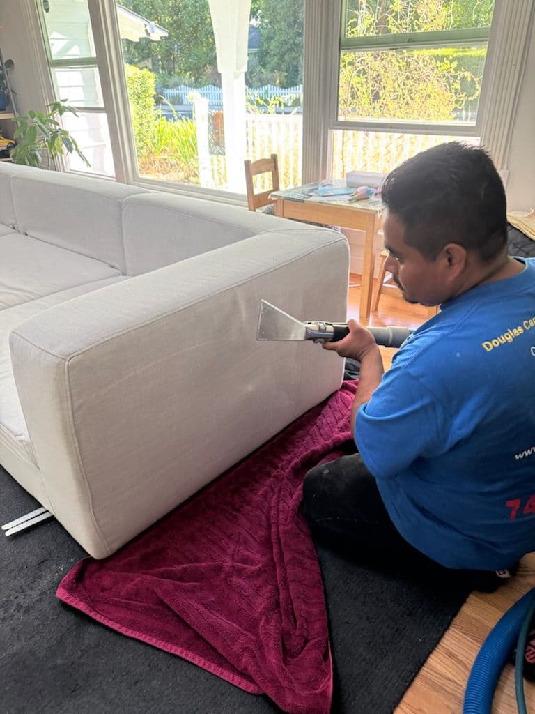 Gallery photos for Thumbs Up for Fresh and Clean Sofa in Beverly Hills: Image #2