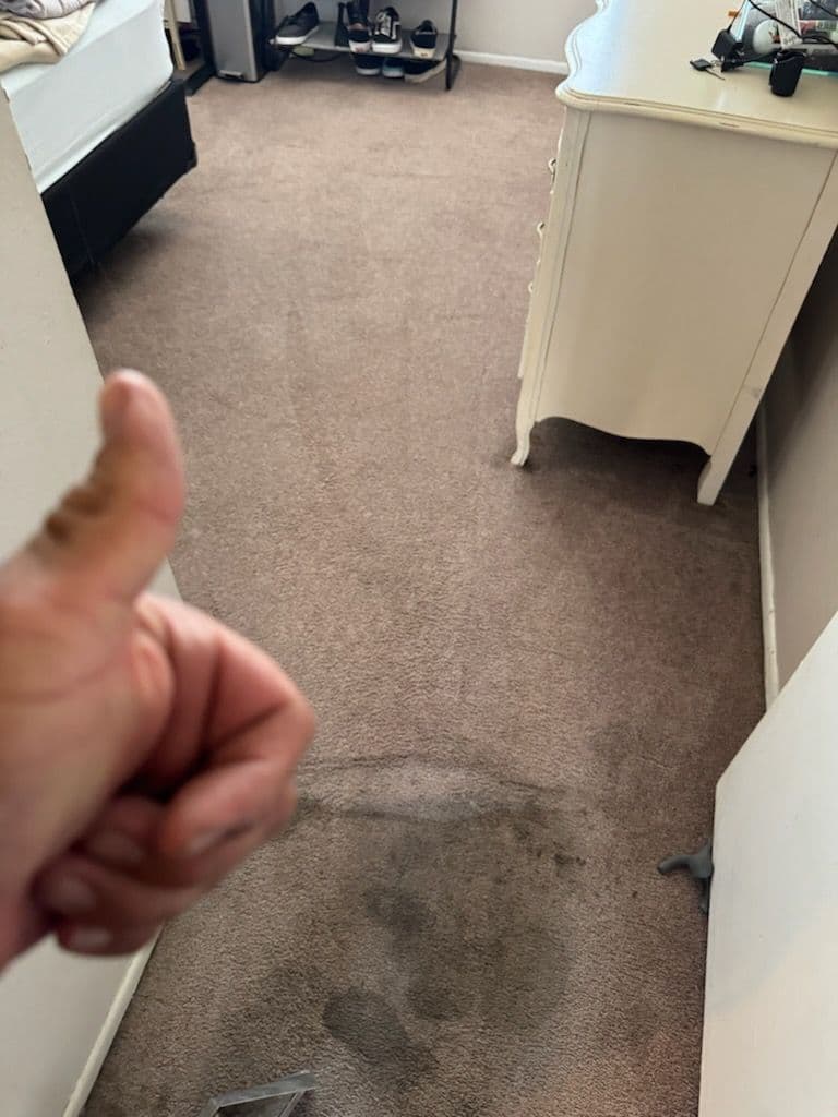 Gallery photos for Spotless Carpet Revival in Santa Clarita: Image #1