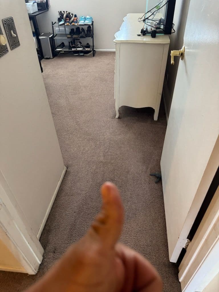 Project Satisfying Carpet Clean in Van Nuys image