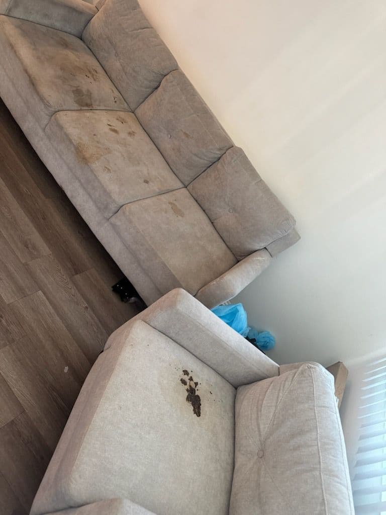 Spotless Sofa Cleaning Service in Canoga Park image