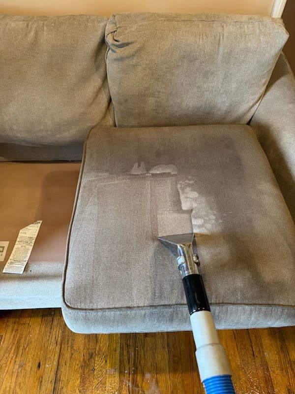 Gallery photos for Sofa Cleaning Excellence in Sylmar: Image #3