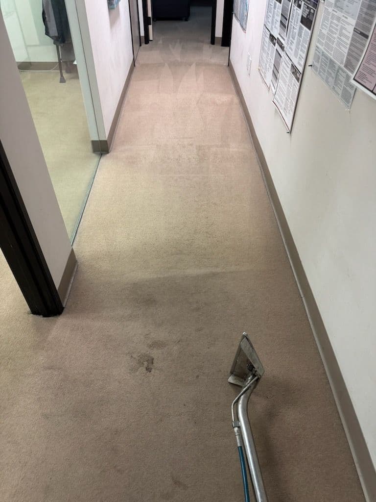 Gallery photos for Office Carpet Cleaning in Pasadena: Image #2