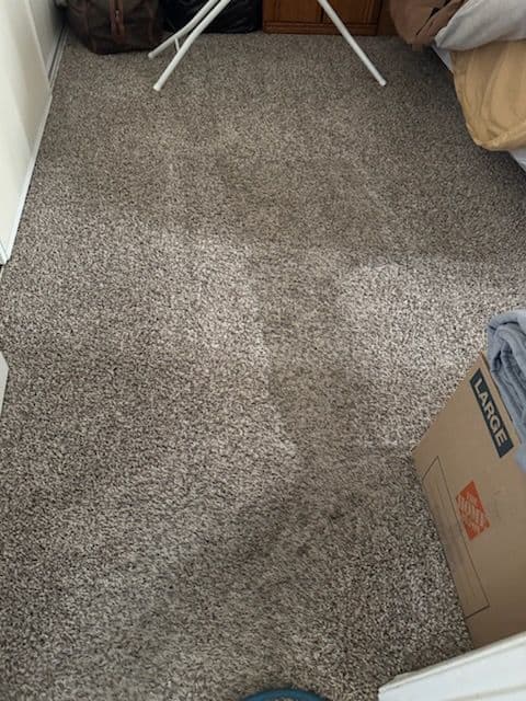 Gallery photos for Office and Home Carpet Cleaning in Los Angeles: Image #1
