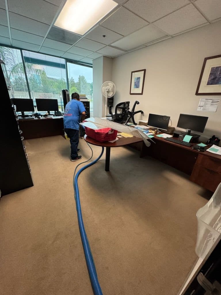 Gallery photos for Office and Home Carpet Cleaning in Los Angeles: Image #3