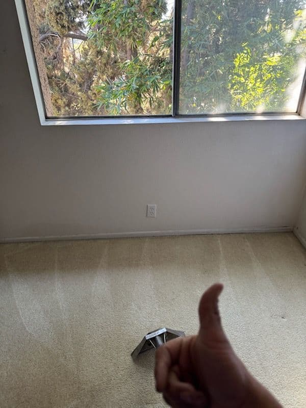 Achieving Spotless Carpets in Los Angeles image