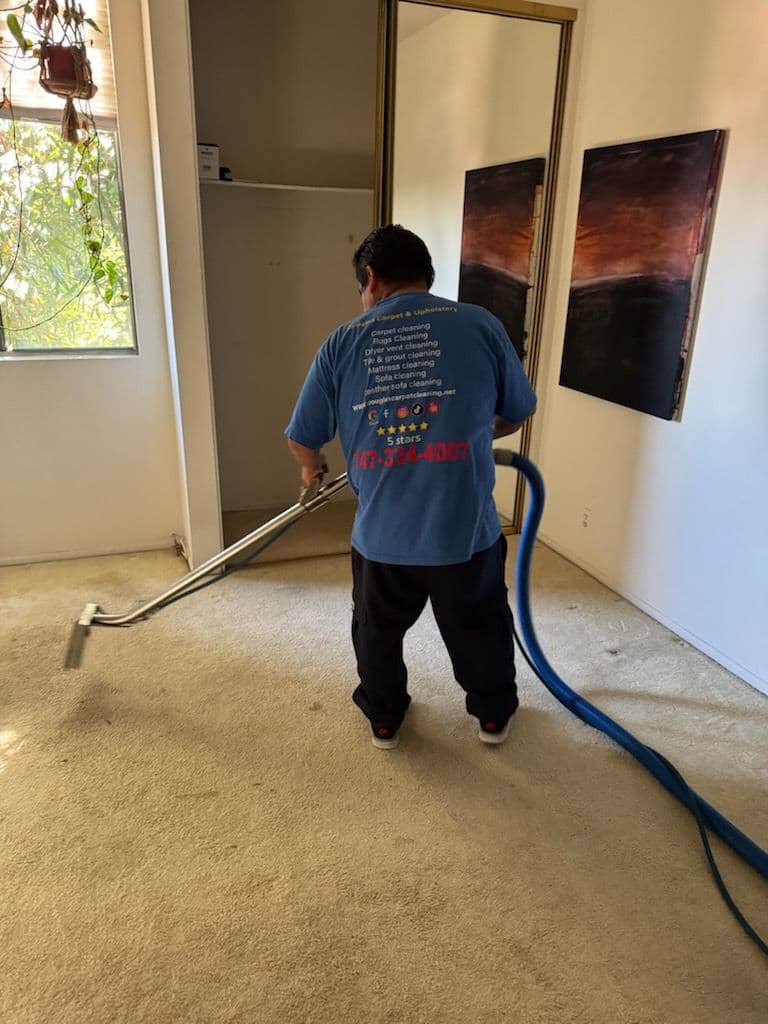 Gallery photos for Achieving Spotless Carpets in Los Angeles: Image #2
