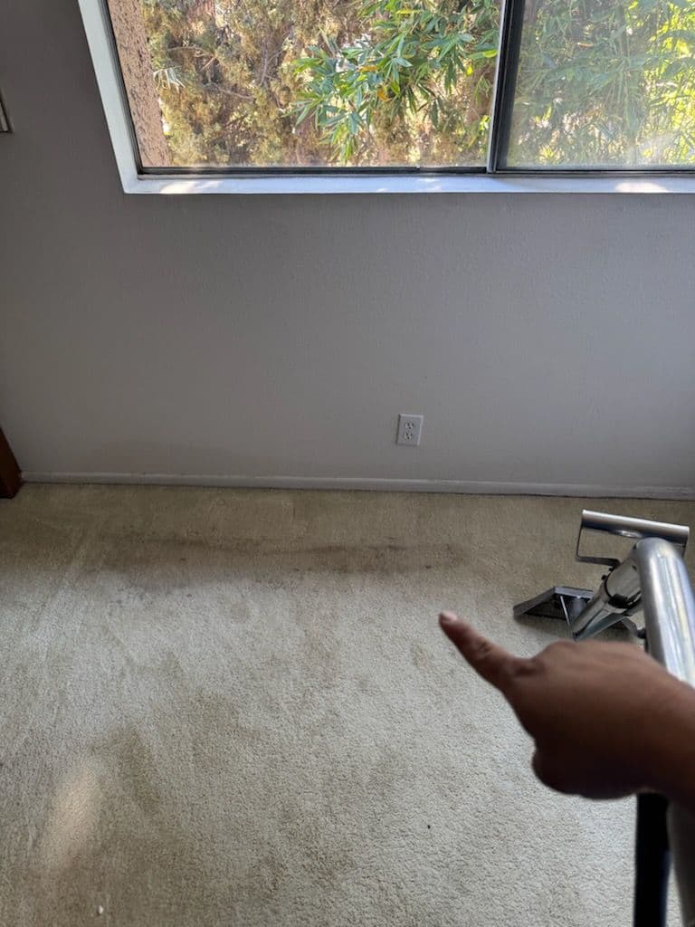 Gallery photos for Expert Carpet Cleaning in Pasadena: Image #1