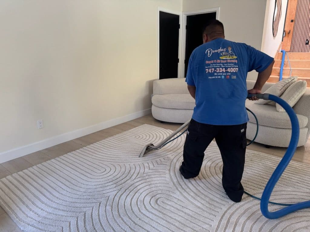 Project Revitalizing Rugs and Sofas in Beverly Hills image