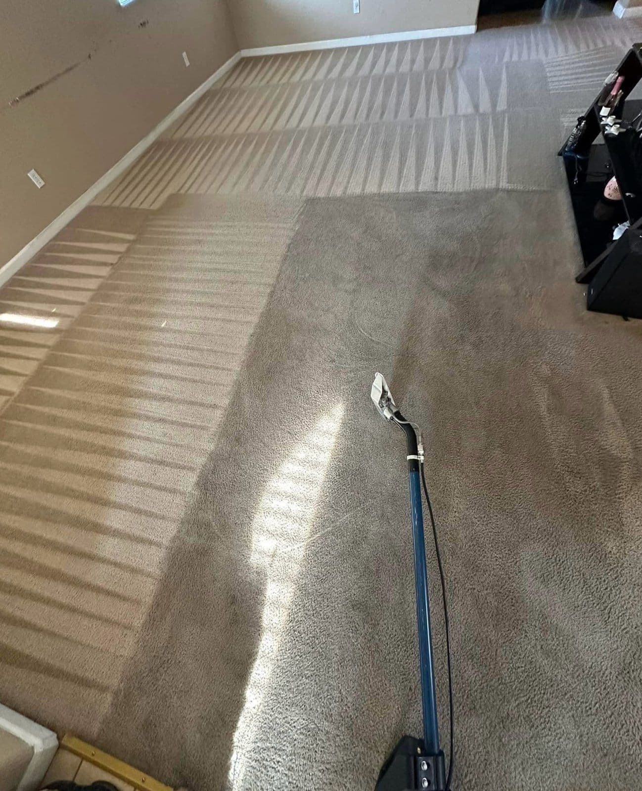 Project Pasadena's Carpets Transformed from Stained to Stellar image