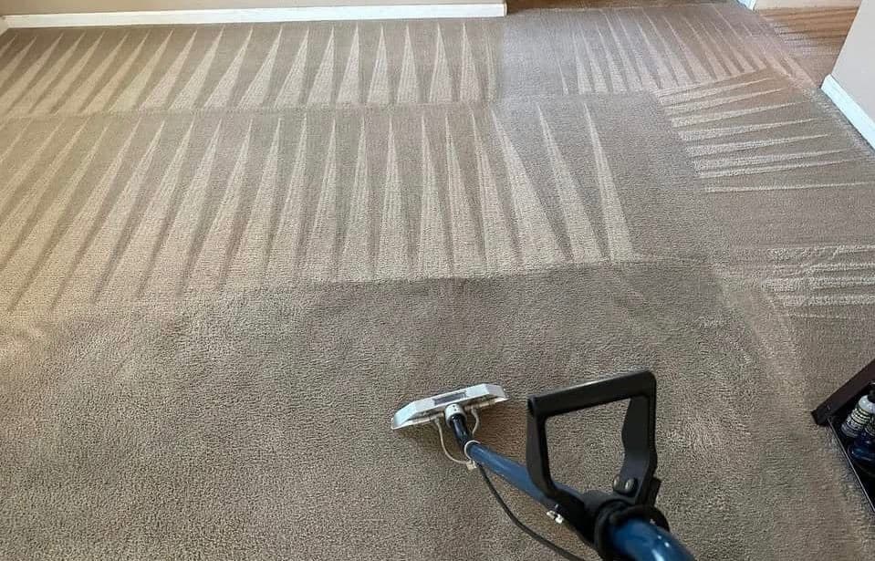 Gallery photos for Pasadena's Carpets Transformed from Stained to Stellar: Image #1