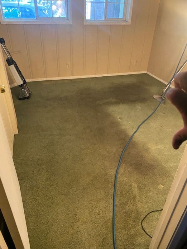 Gallery photos for Carpet Refresh with Douglas Carpet & Upholstery Cleaning in Van Nuys: Image #3