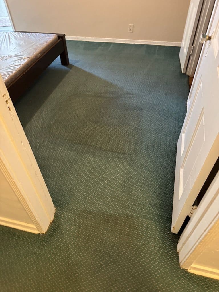 Project Spotless Carpet Cleaning Magic in San Pedro image