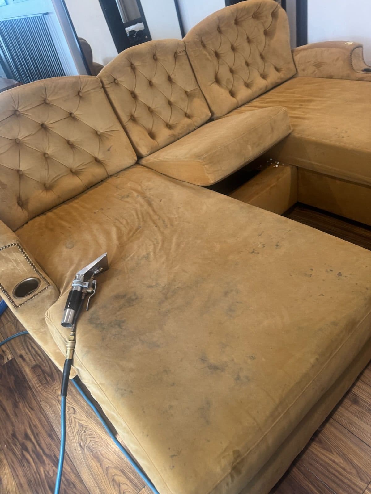 Fresh and Clean Velvet Sofa in Van Nuys