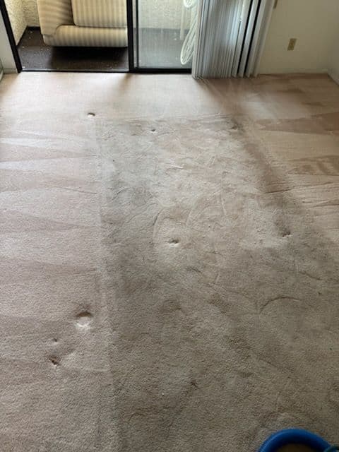 Project Carpet Cleaning Success in Van Nuys image