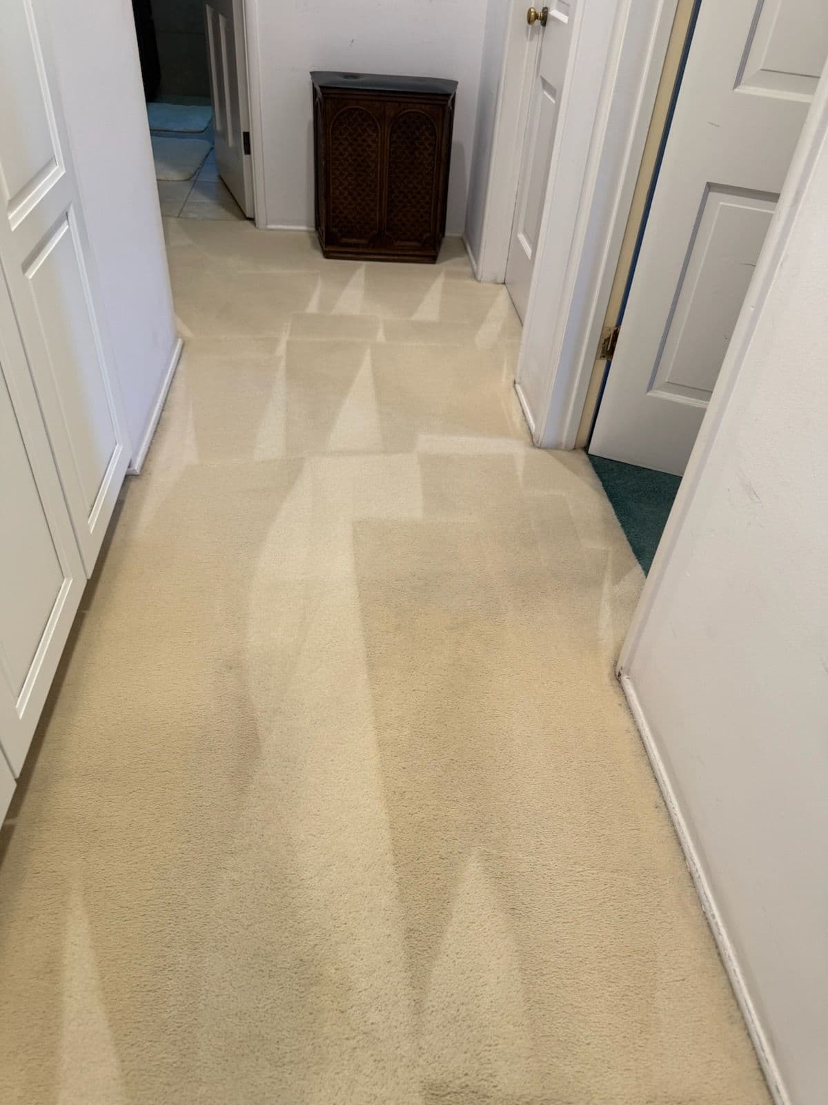 Project From Dirt to Dazzling in Thousand Oak image