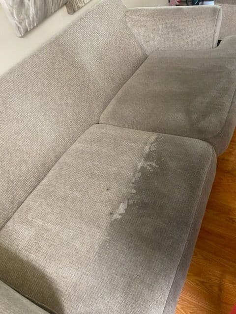 Sofa Stain Solutions in North Hollywood