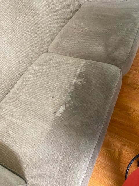 Gallery photos for Sofa Stain Solutions in North Hollywood: Image #1