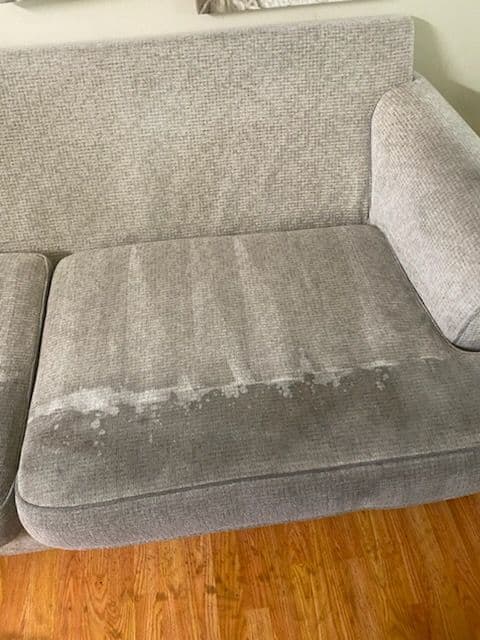 Gallery photos for Sofa Stain Solutions in North Hollywood: Image #2