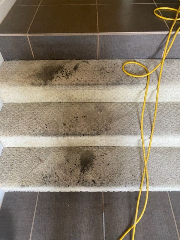 Gallery photos for Transforming Stairs in Palos Verdes: Image #1