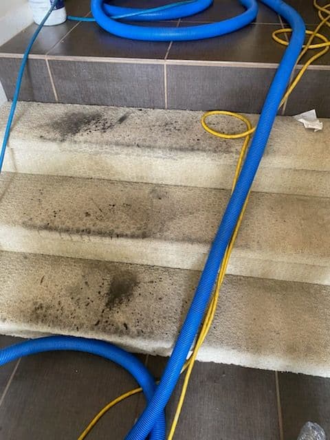 Gallery photos for Transforming Stairs in Palos Verdes: Image #2