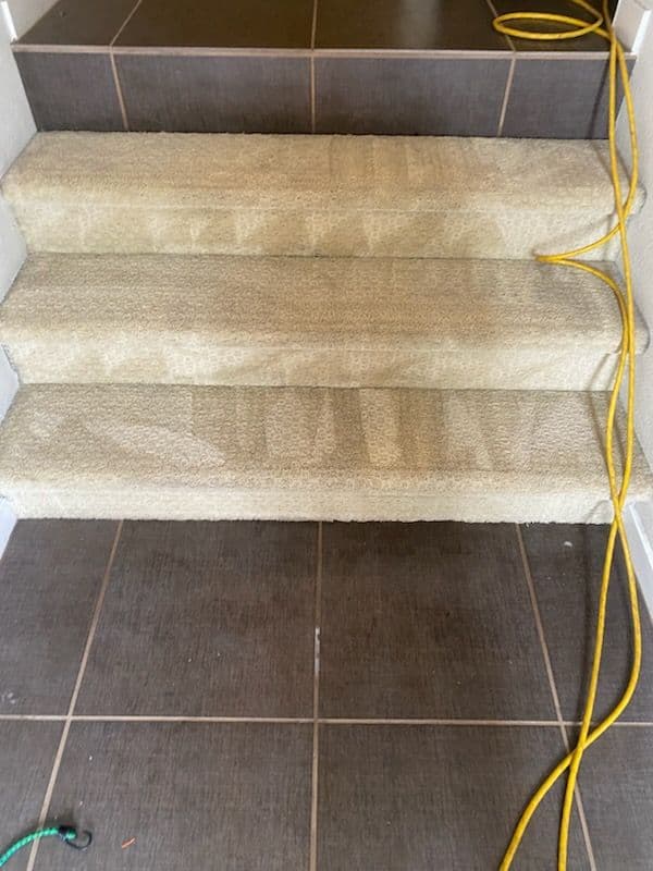 Gallery photos for Transforming Stairs in Palos Verdes: Image #3