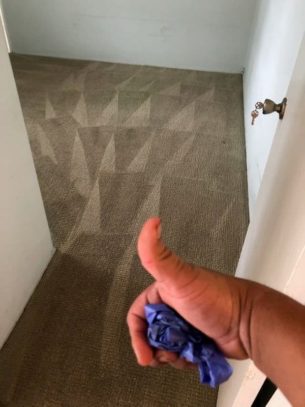 Gallery photos for Stunning Carpet Revival Long Beach Transformation: Image #2