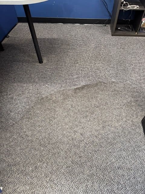 Revitalized Carpet Cleaning in Santa Clarita