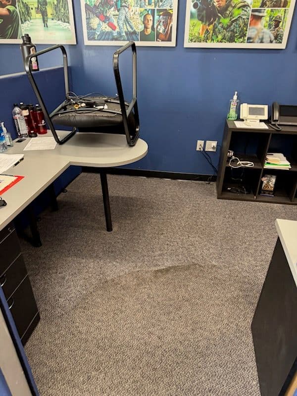 Gallery photos for Revitalized Carpet Cleaning in Santa Clarita: Image #1
