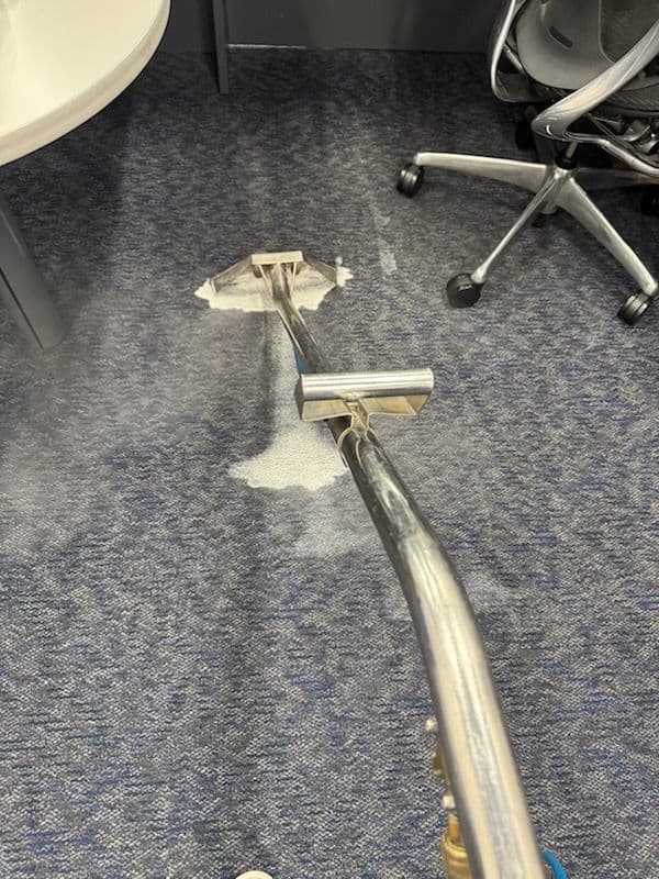 Gallery photos for Revitalized Carpet Cleaning in Santa Clarita: Image #2