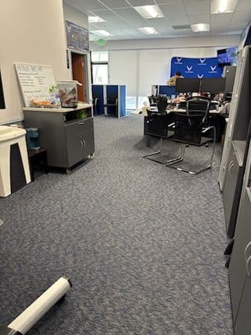 Gallery photos for Revitalized Carpet Cleaning in Santa Clarita: Image #3