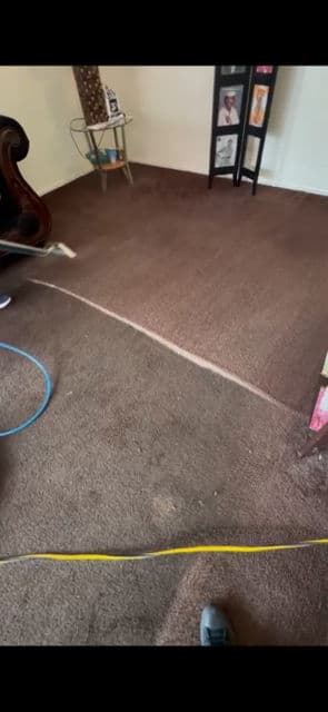 Spotless Carpets in Marina del Rey