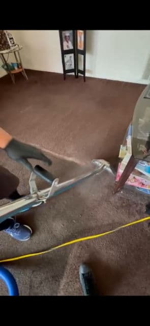 Gallery photos for Spotless Carpets in Marina del Rey: Image #3