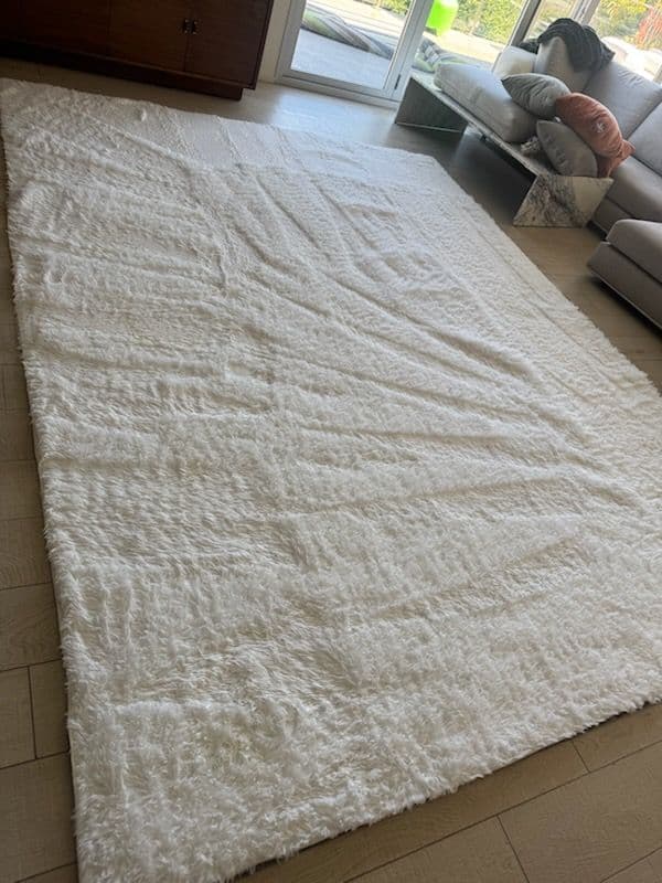 Remarkable Carpet Cleaning in Pasadena