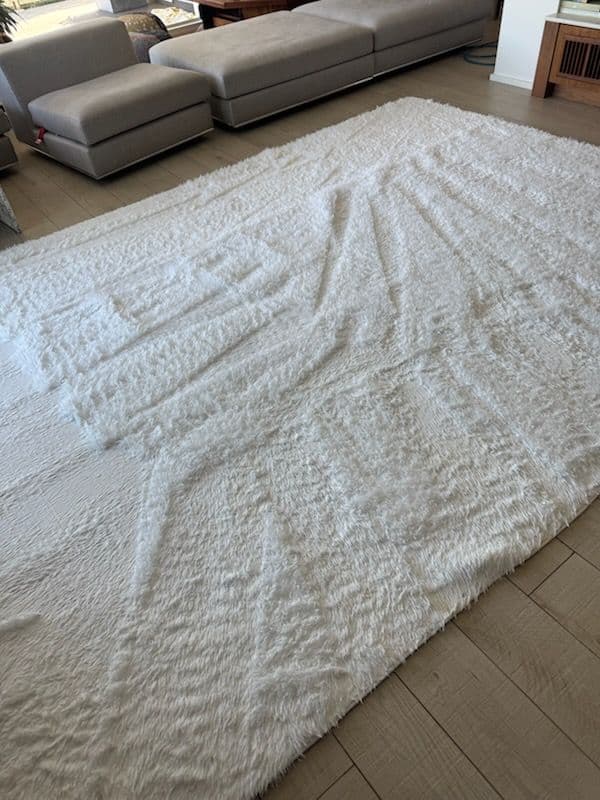 Remarkable Carpet Cleaning in Pasadena