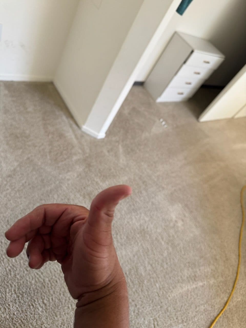 Impressive Carpet Cleaning Results in LA