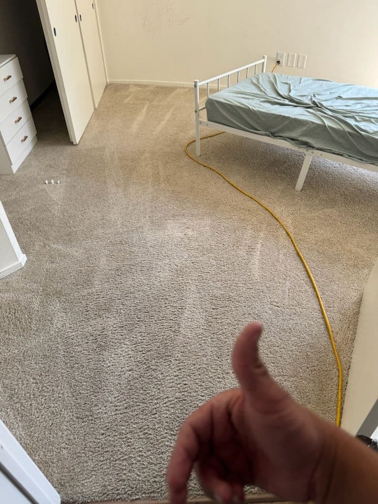 Gallery photos for Impressive Carpet Cleaning Results in LA: Image #2