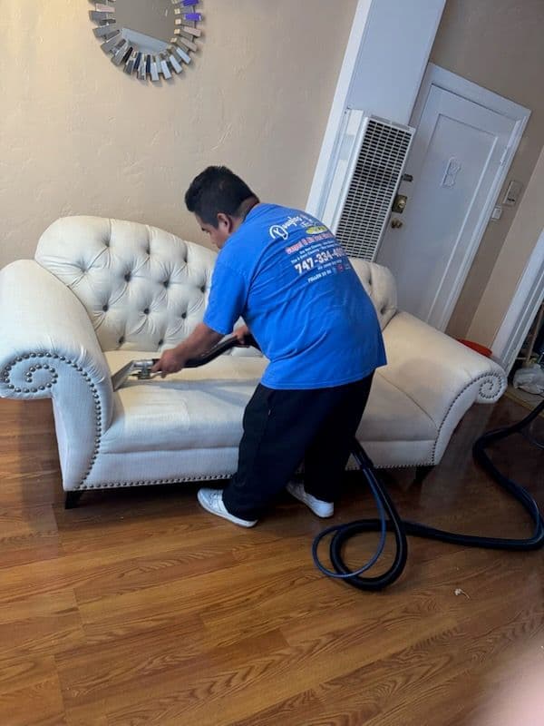 Project Revitalize Your Sofa with Expert Los Angeles Cleaning image