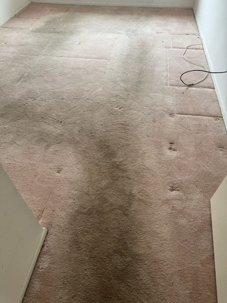 Project Carpet Cleaning and Repair Success in Palisades image