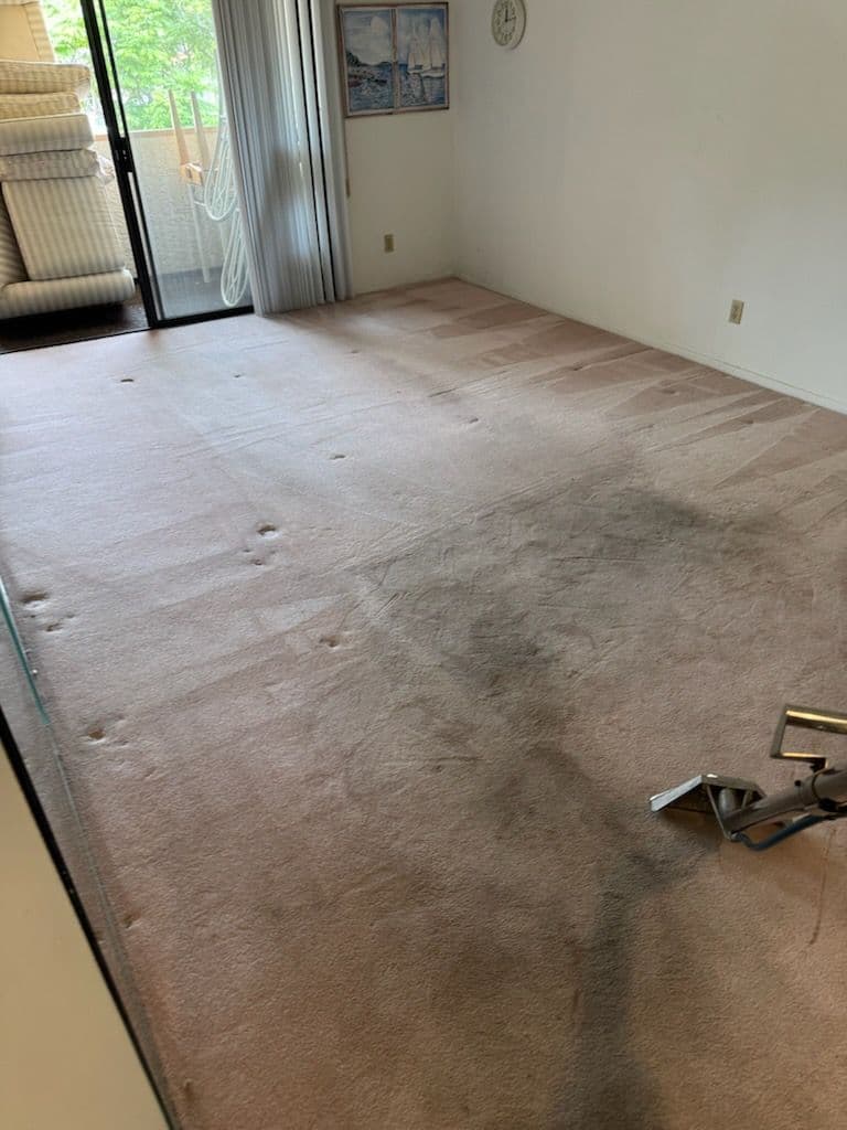 Gallery photos for Revitalize Your Carpets with Expert Cleaning: Image #1