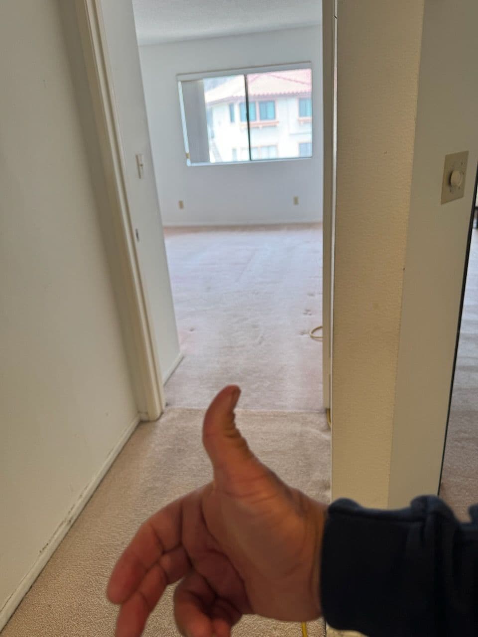Gallery photos for Revitalize Your Carpets with Expert Cleaning: Image #2