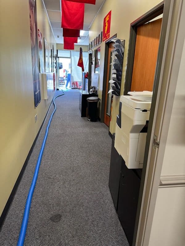 Spotless Carpet Restoration for Marines Office image