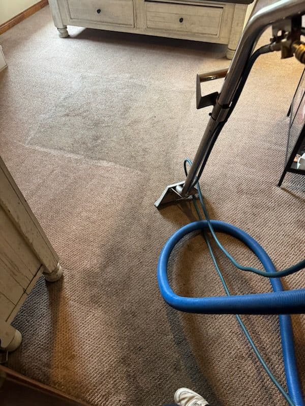Gallery photos for Revitalize Your Carpet with Douglas Carpet Cleaning: Image #1