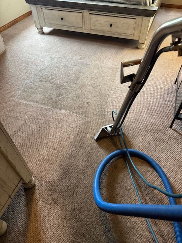 Project Unveil Freshness With Expert Carpet Cleaning image