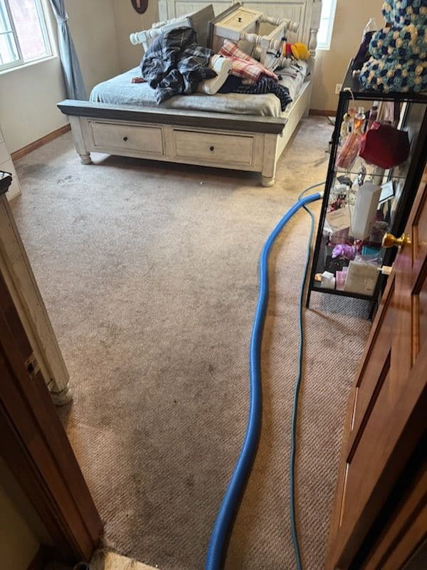 Fresh Carpet Cleaning in Thousand Oak image