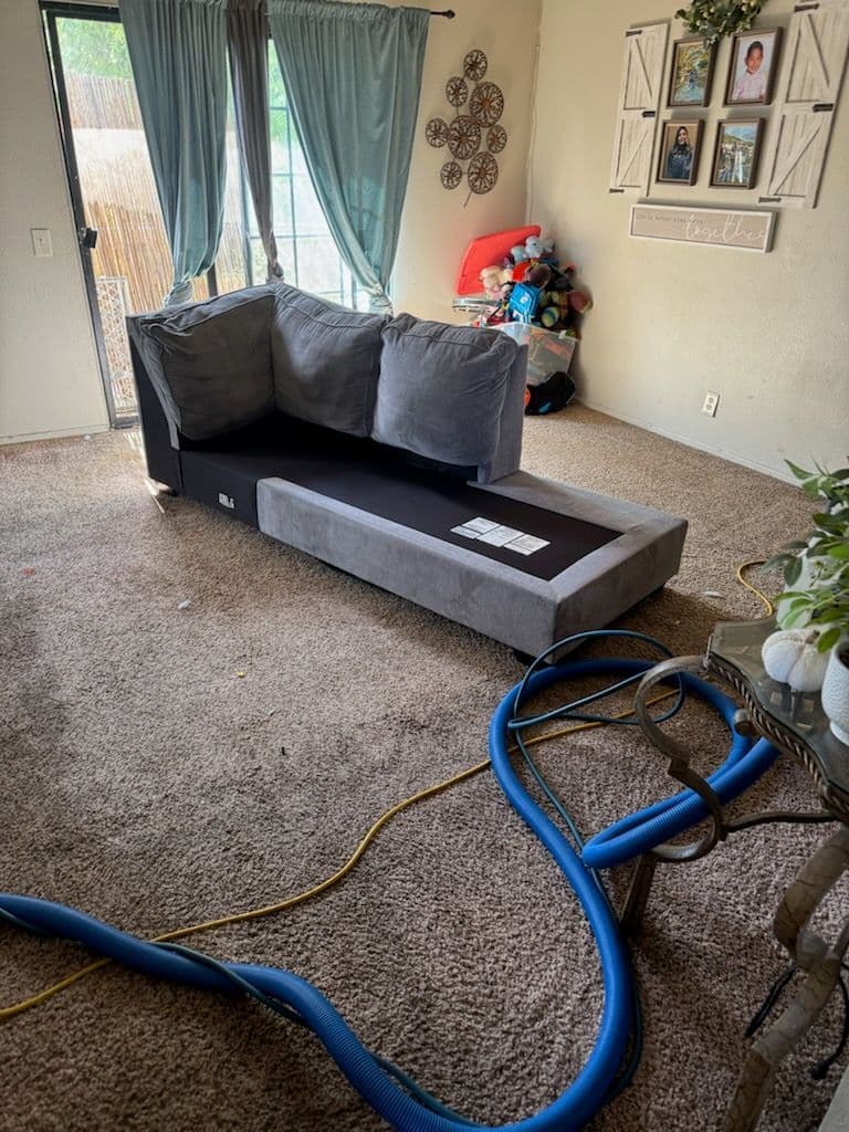 Gallery photos for Santa Ana Living Room Refresh by Douglas Cleaning: Image #1