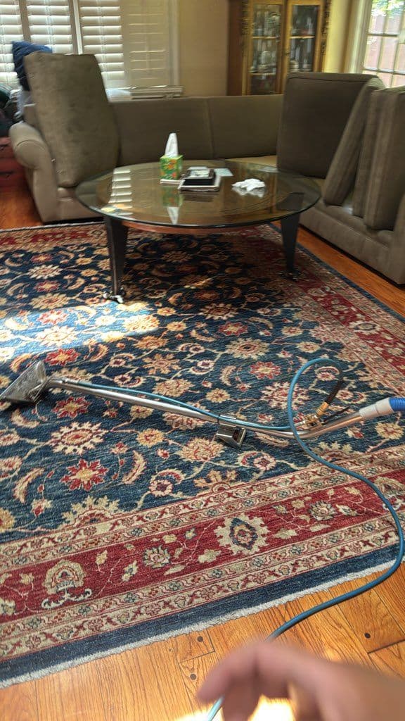 Revitalize Your Home with Expert Rug and Sofa Care image